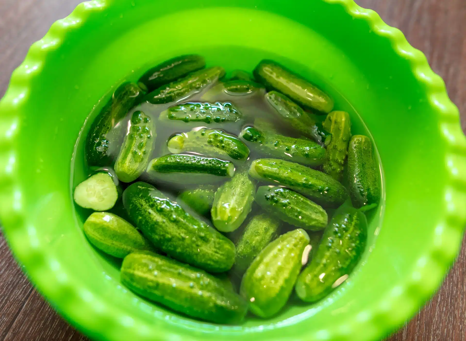 Gurken wachsen wie Hefe. Alles, was sie brauchen, ist gute Gesellschaft im Garten.