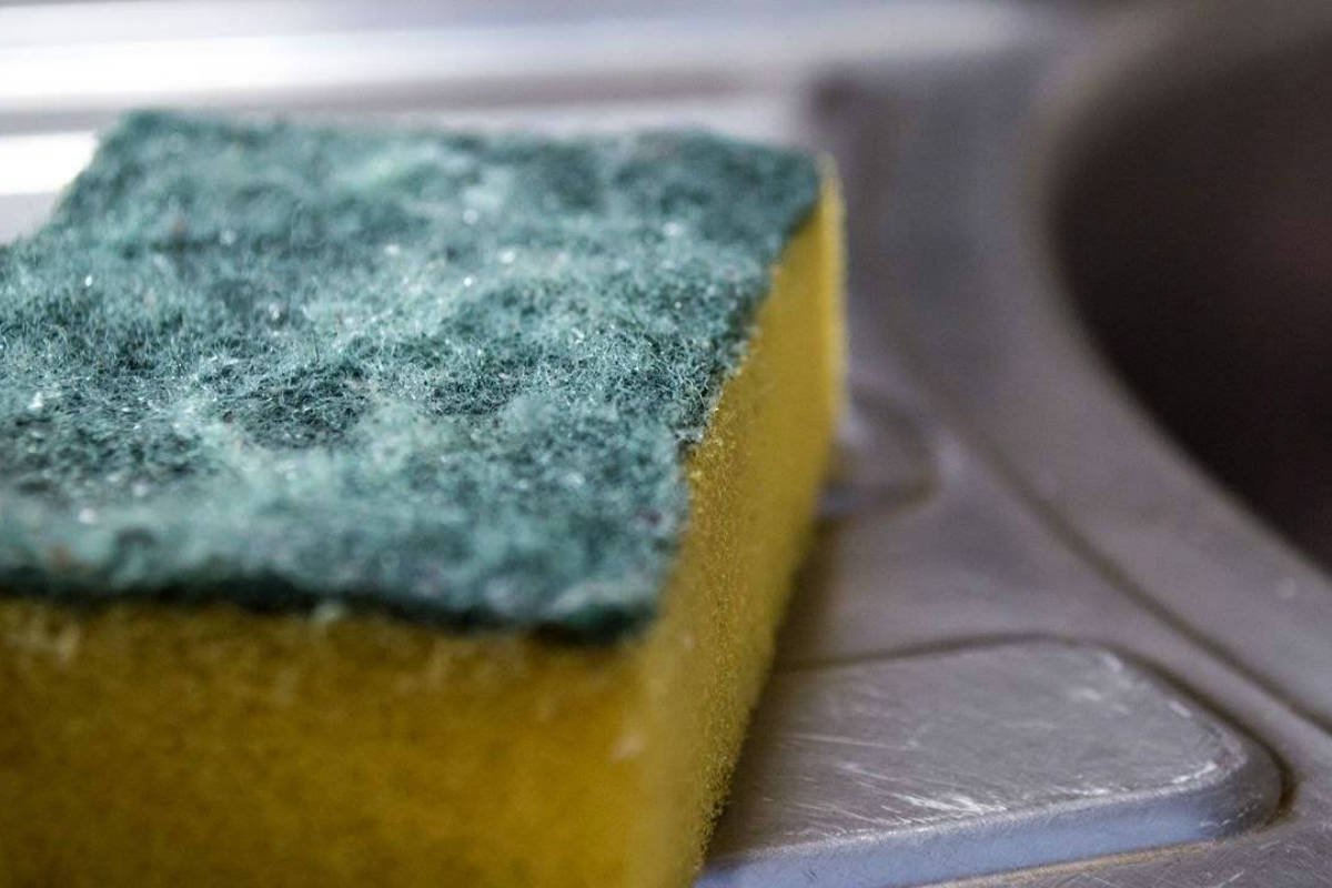 Schwamm im Gefrierschrank: eine einfache L&ouml;sung, die die Eisbildung reduziert.