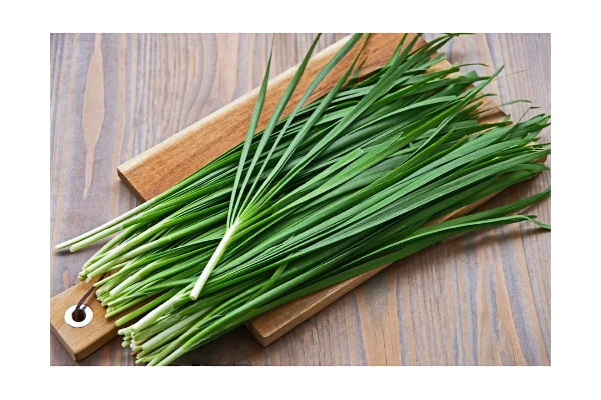 Die ges&uuml;ndeste Pflanze, die im Fr&uuml;hling in der Slowakei w&auml;chst. Die Saison steht vor der T&uuml;r und Experten warten sehns&uuml;chtig darauf.