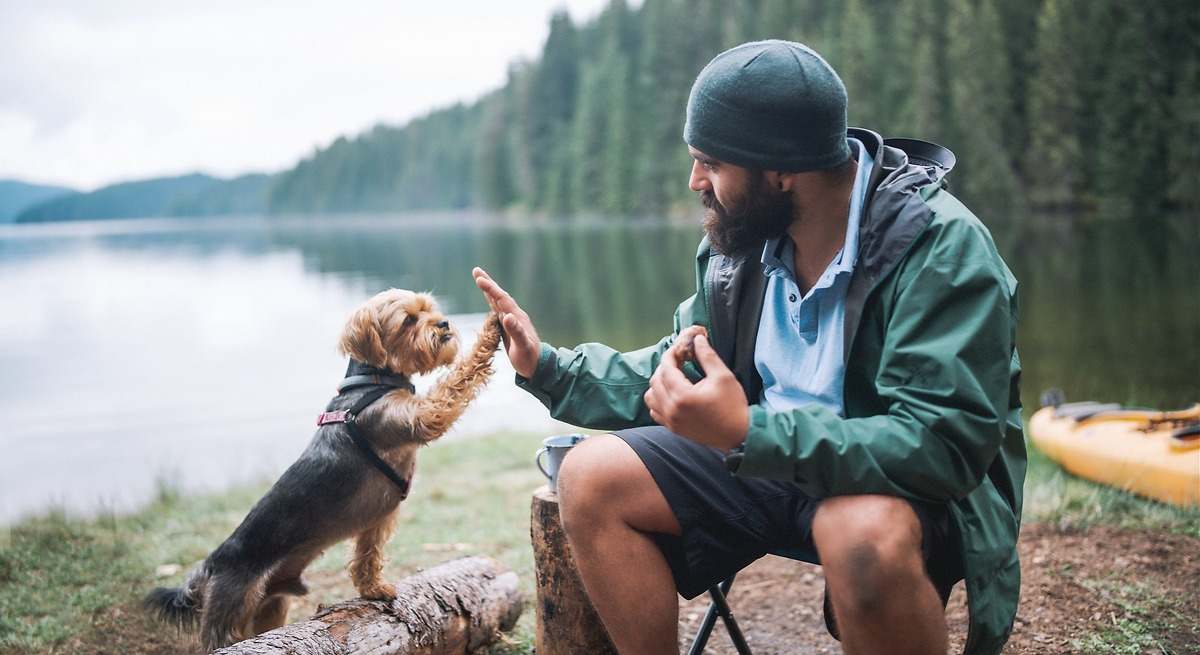 Gründe, warum die intelligentesten Menschen laut Psychologie nur wenige enge Freunde haben.