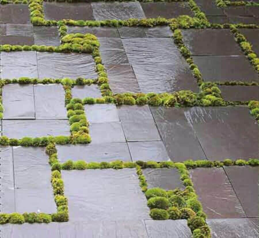 Ein unbekannter Trick f&uuml;r eine strahlende Terrasse wird oft &uuml;bersehen, obwohl er nat&uuml;rlich super effektiv ist.