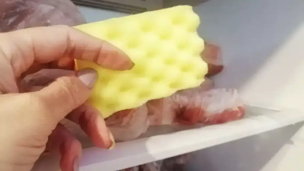Schwamm im Gefrierschrank: eine einfache Lösung, die die Eisbildung reduziert. 