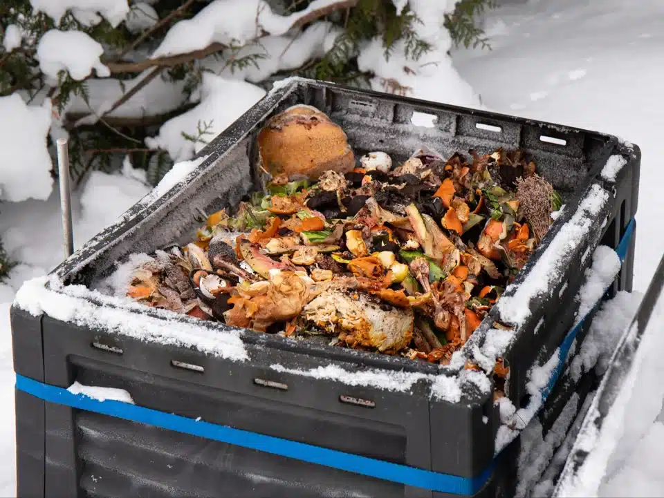 Gießen Sie es im Winter in den Kompostbehälter. Im Frühjahr haben Sie dann schwarze Erde statt Abfall.