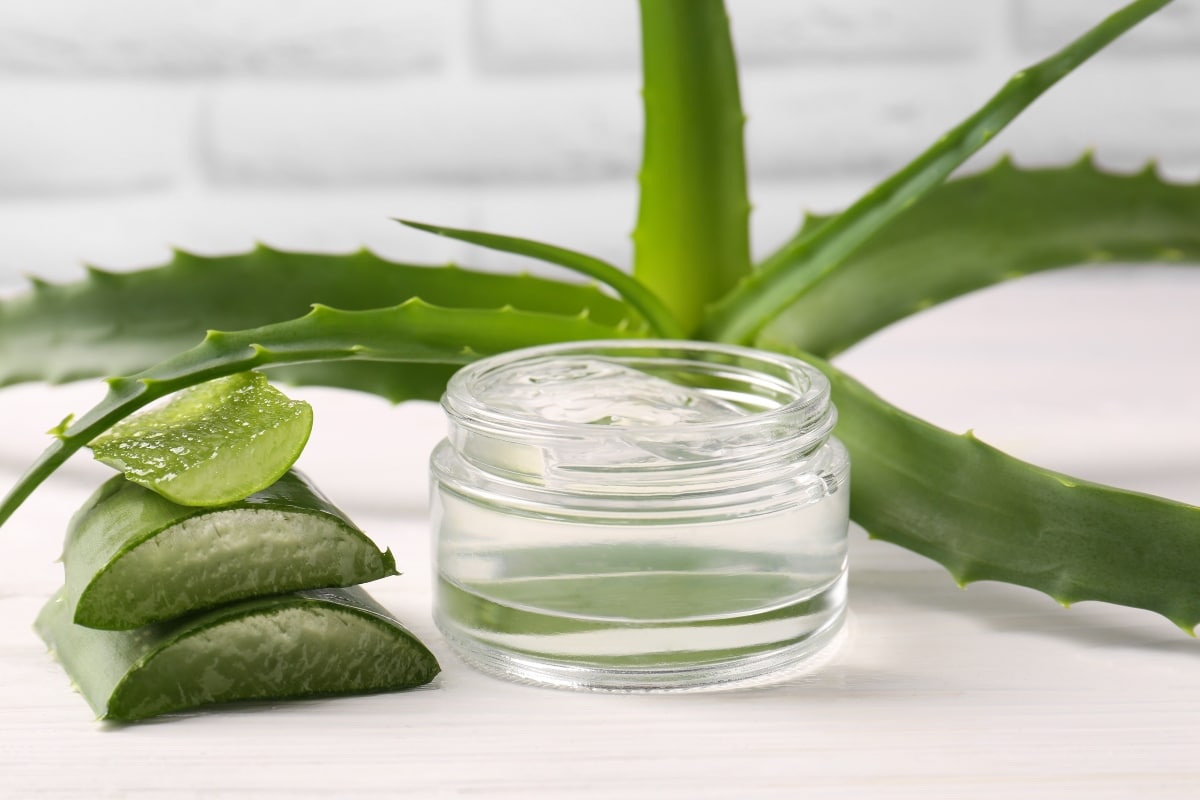 So stellen Sie eine Gesichtscreme mit Aloe Vera zur Kollagenproduktion und Hautpflege her.