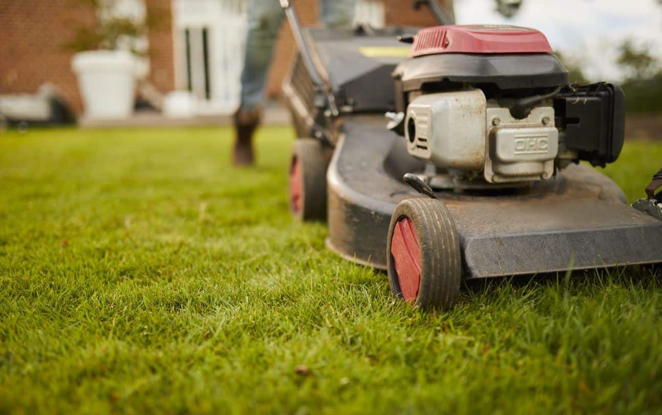 Schlechte Nachrichten: Neue Regelung verbietet Rasenmähen zwischen 12:00 und 16:00 Uhr in 24 Bezirken