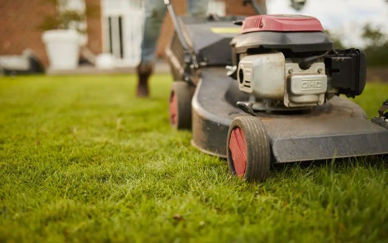 Schlechte Nachrichten: Neue Regelung verbietet Rasenmähen zwischen 12:00 und 16:00 Uhr in 24 Bezirken