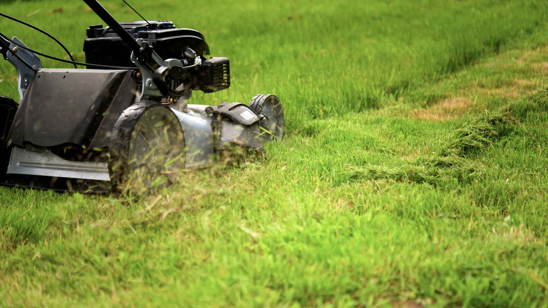 Schlechte Nachrichten: Neue Regelung verbietet Rasenmähen zwischen 12:00 und 16:00 Uhr in 24 Bezirken