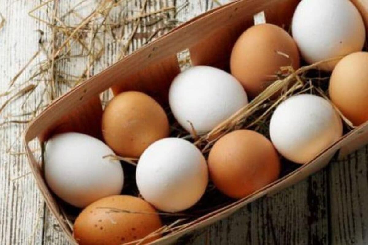 Eier waschen oder nicht? Es hängt von einem Faktor ab.