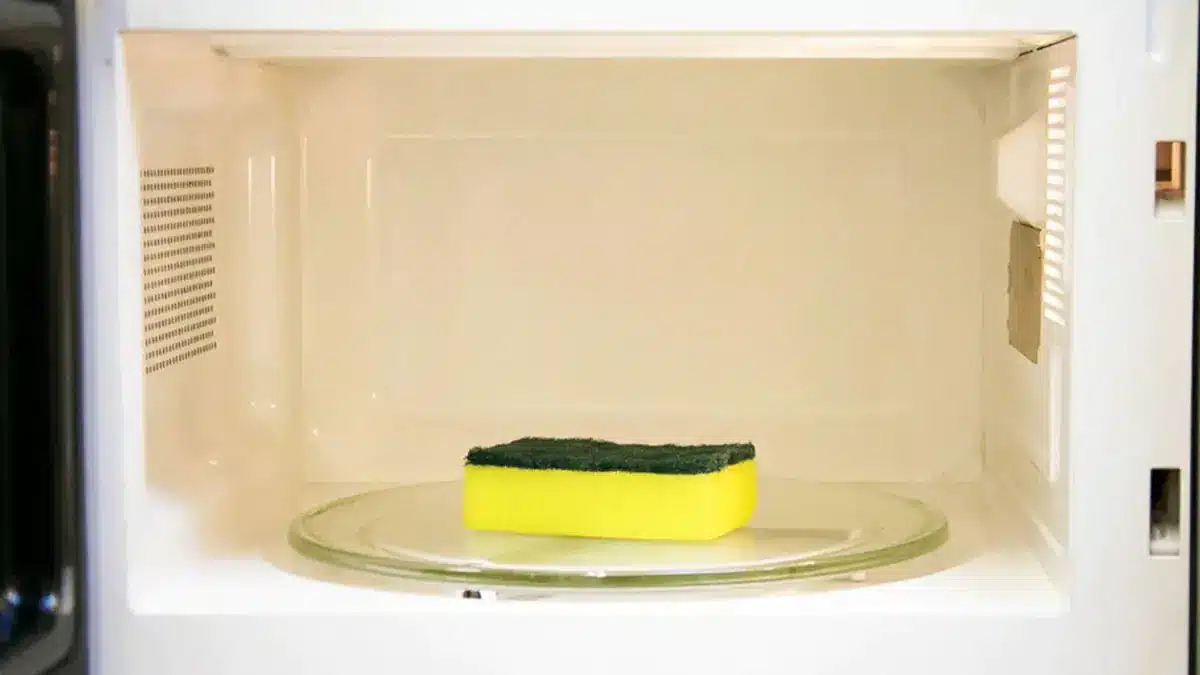 Das wissen nur wenige, aber ein feuchter Schwamm in der Mikrowelle ist einer der nützlichsten Haushaltstipps.