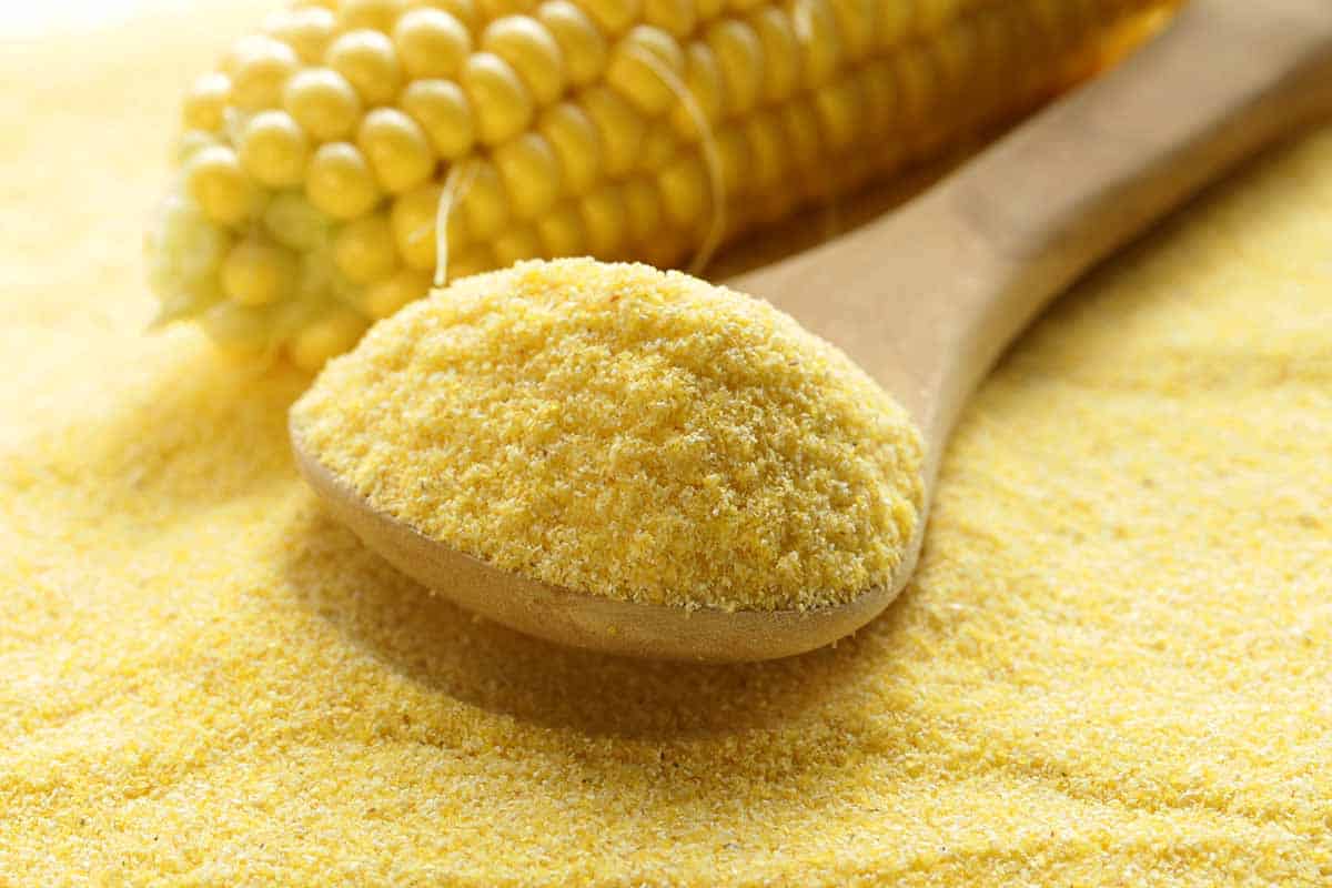 Polenta in Blumenbeete pflanzen: Wozu dient sie und warum wird sie empfohlen?