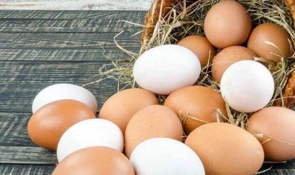 Wissen Sie, wie viele Eier ältere Menschen essen sollten? Wissenschaftler haben endlich eine konkrete Menge ermittelt.