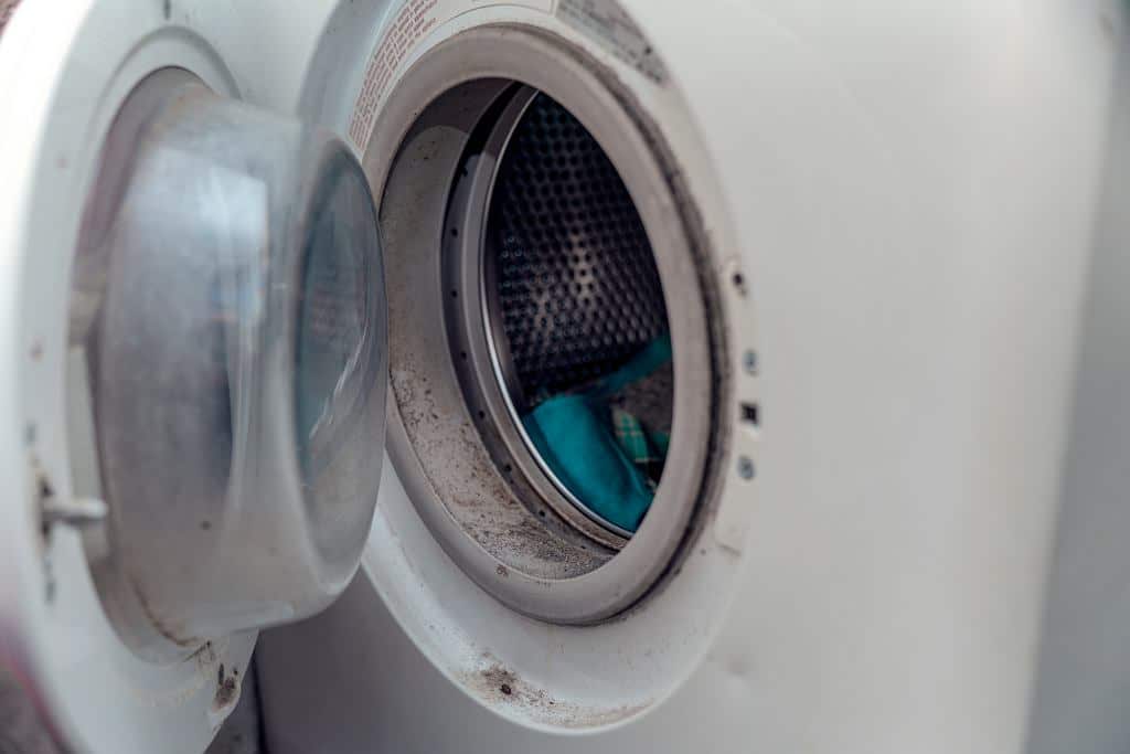 Hier sammeln sich Feuchtigkeit und Schmutz in der Waschmaschine an. Beim Waschen ignorieren wir diesen Ort oft.