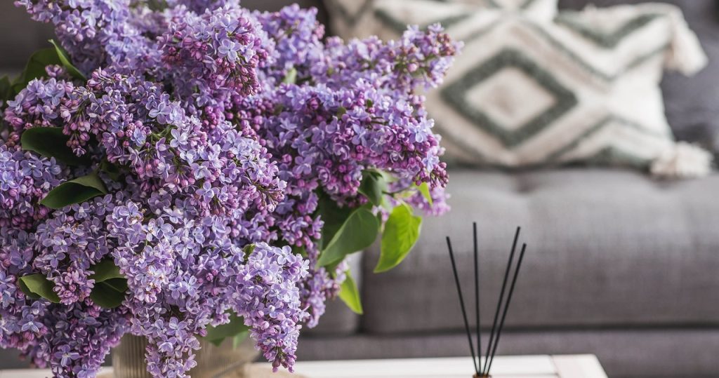 Ich werde es vermischen und ins Wohnzimmer stellen. Gäste fragen, woher dieser Frühlingsduft kommt